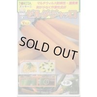 送料無料　[ズッキーニ]　ゼルダ・ジャッロ　10粒　トキタ種苗(株)