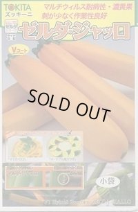 送料無料　[ズッキーニ]　ゼルダ・ジャッロ　10粒　トキタ種苗(株)