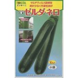 送料無料　[ズッキーニ]　ゼルダ・ネロ　10粒　トキタ種苗(株)