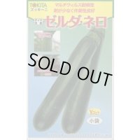 送料無料　[ズッキーニ]　ゼルダ・ネロ　10粒　トキタ種苗(株)