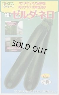 送料無料　[ズッキーニ]　ゼルダ・ネロ　10粒　トキタ種苗(株)