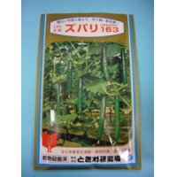 [キュウリ]　ズバリ163　350粒　（株）（株）ときわ研究場