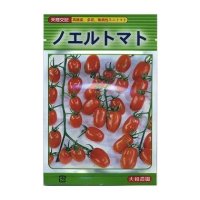 [トマト/ミニトマト]　ノエルトマト　18粒　大和農園