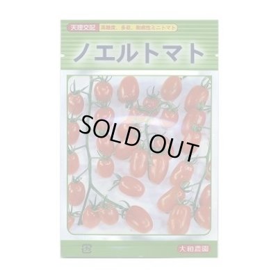 画像1: [トマト/ミニトマト]　ノエルトマト　18粒　（株）大和農園