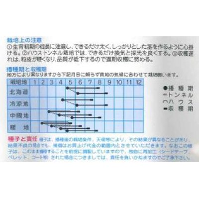 画像2: [とうもろこし]　味なコーン 　　200粒　（株）タカヤマシード