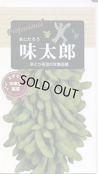 [枝豆]　味太郎　70ｍｌ（およそ150粒）　雪印種苗（株）