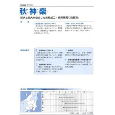 画像3: [大根]　秋神楽　ペレット3L5000粒　タキイ種苗(株)