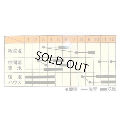 画像2: 送料無料　[えんどう]　フルーツ実豌豆　あま実ちゃん　20ml　松永育成