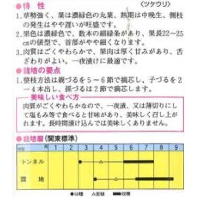 画像2: [瓜類]　青はぐら　20ml（およそ700粒）　トキタ種苗（株）