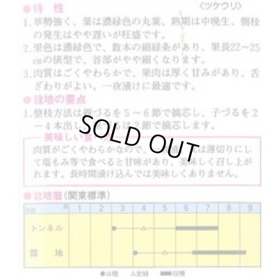 画像2: 送料無料　[瓜類]　青はぐら　3ml(およそ100粒)　トキタ種苗(株)