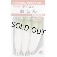 送料無料　[大根]　おしん　3.5ml　タキイ種苗(株)　RF