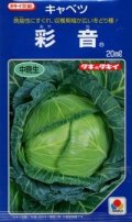 送料無料　[キャベツ]　彩音　2000粒　タキイ種苗(株)