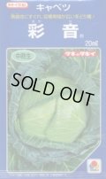 送料無料　[キャベツ]　彩音　2000粒　タキイ種苗(株)