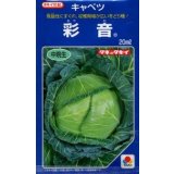 送料無料　[キャベツ]　彩音　2000粒　タキイ種苗(株)
