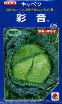 送料無料　[キャベツ]　彩音　2000粒　タキイ種苗(株)