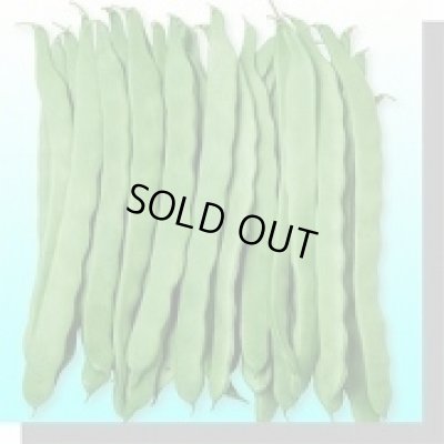 画像2: 送料無料　[いんげん]　ビックリジャンボ　30ml　ヴィルモランみかど（株）