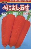 送料無料　[人参]　べによし五寸　20ml　渡辺交配