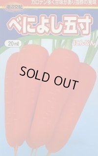送料無料　[人参]　べによし五寸　20ml　渡辺農事（株）