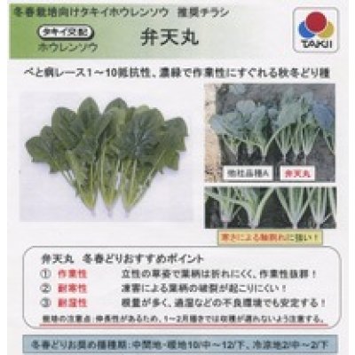 画像3: 送料無料　[ほうれんそう]　弁天丸　40ml　タキイ種苗　RF