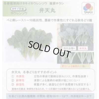 画像3: [ほうれんそう] 弁天丸 3万粒(Mサイズ) タキイ種苗
