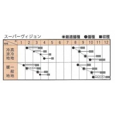 画像4: [ほうれんそう]　スーパーヴィジョン　Mサイズ3万粒　トキタ種苗（株）