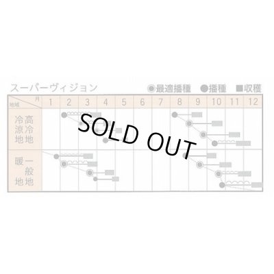 画像4: [ほうれんそう] スーパーヴィジョン 3万粒（種子サイズ：Ｍ） トキタ種苗(株)