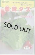 送料無料　[レタス]　美味タス　2ml(およそ700粒)　トキタ種苗(株)