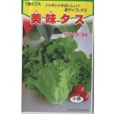 送料無料　[レタス]　美味タス　2ml(およそ700粒)　トキタ種苗(株)
