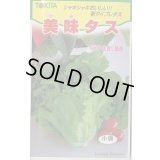 送料無料　[レタス]　美味タス　2ml(およそ700粒)　トキタ種苗(株)
