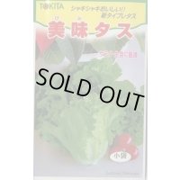 送料無料　[レタス]　美味タス　2ml(およそ700粒)　トキタ種苗(株)
