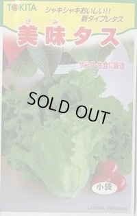 送料無料　[レタス]　美味タス　2ml(およそ700粒)　トキタ種苗(株)