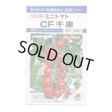 送料無料　[トマト/ミニトマト]　CF千果　小袋(16粒)　タキイ種苗(株)　DF