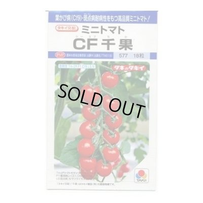 画像1: 送料無料　[トマト/ミニトマト]　CF千果　小袋(16粒)　タキイ種苗(株)　DF