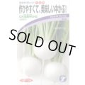 送料無料　[かぶ]　CR玉鈴中[かぶ]　4ml（約900粒）　(株)タカヤマシード