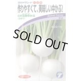 送料無料　[かぶ]　CR玉鈴中[かぶ]　4ml（約900粒）　(株)タカヤマシード