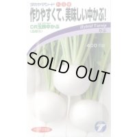 送料無料　[かぶ]　CR玉鈴中[かぶ]　4ml（約900粒）　(株)タカヤマシード