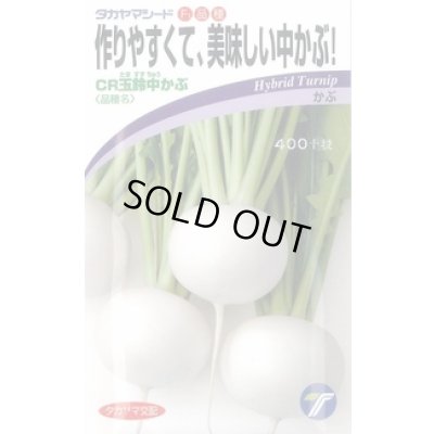 画像1: 送料無料　[かぶ]　CR玉鈴中[かぶ]　4ml（約900粒）　(株)タカヤマシード