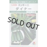 送料無料　[ズッキーニ]　ダイナー　13粒　タキイ種苗(株)　GF