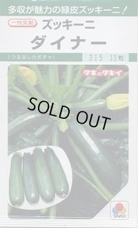 送料無料　[ズッキーニ]　ダイナー　13粒　タキイ種苗(株)　GF