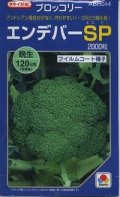送料無料　[ブロッコリー]　エンデバーＳＰ　2000粒　タキイ種苗(株)