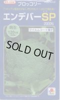 送料無料　[ブロッコリー]　エンデバーＳＰ　2000粒　タキイ種苗(株)