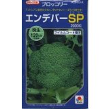 送料無料　[ブロッコリー]　エンデバーＳＰ　2000粒　タキイ種苗(株)