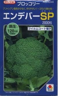 送料無料　[ブロッコリー]　エンデバーＳＰ　2000粒　タキイ種苗(株)