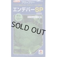 [ブロッコリー]　エンデバーＳＰ　2000粒　タキイ種苗（株）