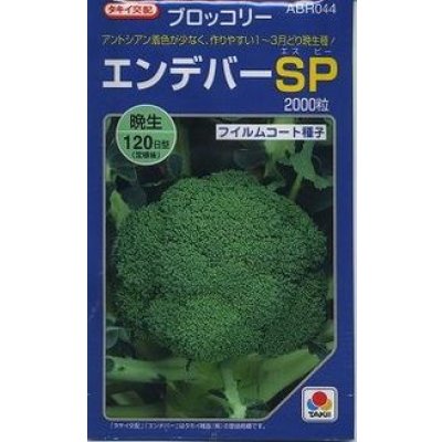 画像1: 送料無料　[ブロッコリー]　エンデバーＳＰ　2000粒　タキイ種苗(株)