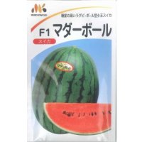 送料無料　[スイカ]　小玉スイカ　F1マダーボール　200粒　ヴィルモランみかど（株）