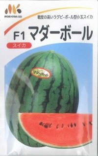 送料無料　[スイカ]　小玉スイカ　F1マダーボール　200粒　ヴィルモランみかど（株）