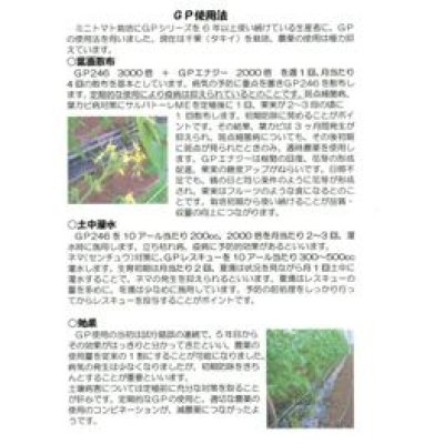 画像3: 肥料　活性剤　GPエナジー　1000ml