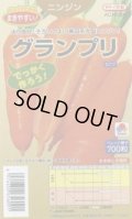 送料無料[人参]　グランプリ　ペレット700粒　タキイ種苗(株)