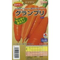 送料無料[人参]　グランプリ　ペレット700粒　タキイ種苗(株)